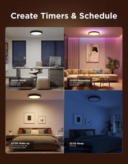 Govee Smart Ceiling Light, RGBIC 2400LM 2700K-6500K 12 Inch 1 Pack Black