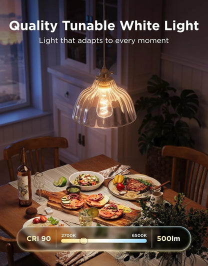 Govee Edison Bulbs, G25 Smart Vintage Light Bulbs, RGBWW, E26 Base 4 Pack