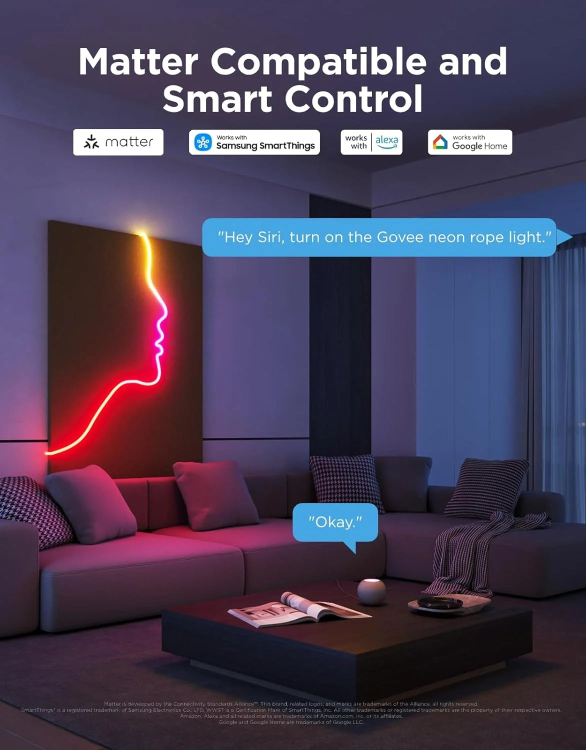 Govee RGBIC Neon Lights 16.4ft Works with Matter, Alexa, Google Assistant