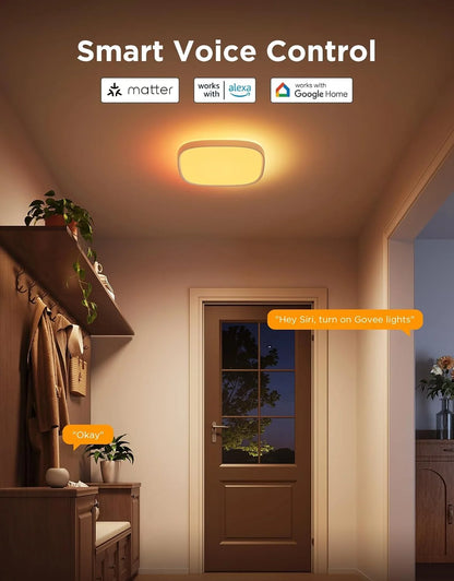 Govee Smart Ceiling Light, RGBWW and RGBIC 2400LM 12 Inch, Square 1 Pack