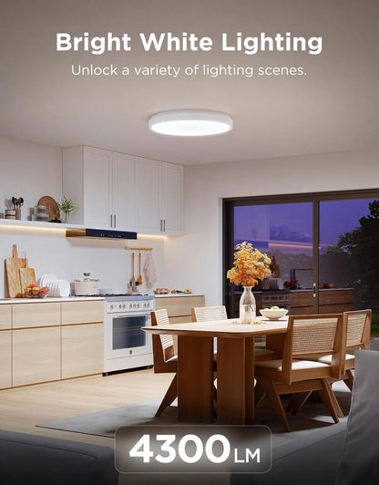 Govee Smart Ceiling Light 4300LM 15 Inch, RGBIC 2700K-6500K 1 Pack