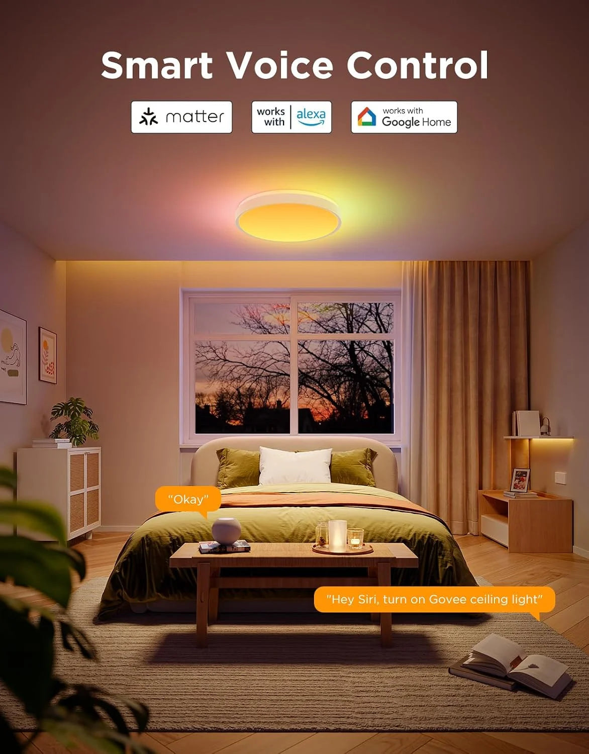 Govee Smart Ceiling Light 4300LM 15 Inch, RGBIC 2700K-6500K 1 Pack