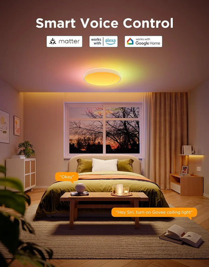 Govee Smart Ceiling Light 4300LM 15 Inch, RGBIC 2700K-6500K 1 Pack