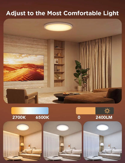 Govee Smart Ceiling Light, RGBIC 2400LM 2700K-6500K 12 Inch 1 Pack Black