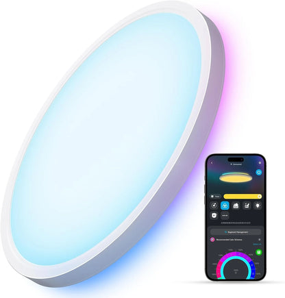 Govee Smart Ceiling Light, RGBIC 2400LM 2700K-6500K 12 Inch 1 Pack Black
