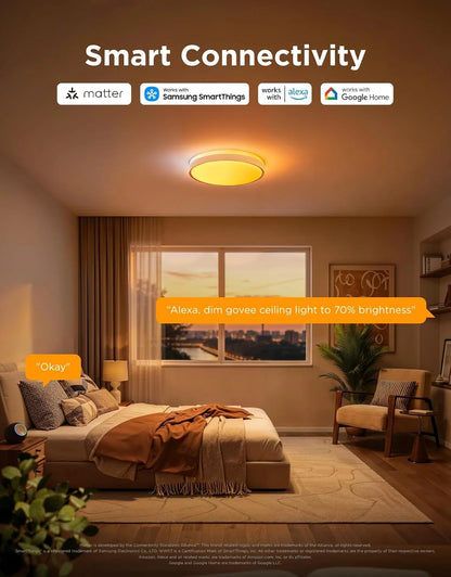 Govee Smart Ceiling Light 4300LM 15 Inch, RGBIC 2700K-6500K 1 Pack