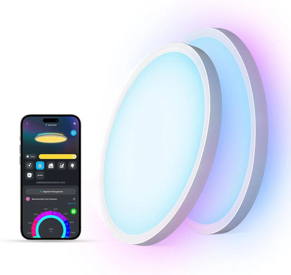 Govee Smart Ceiling Light, RGBIC 2400LM 2700K-6500K 12 Inch 1 Pack Black